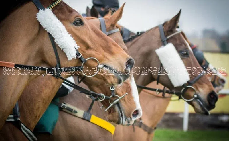 米兰体育全站天下秀深度解析广西师范大学足球运动训练的专业技巧与实践经验