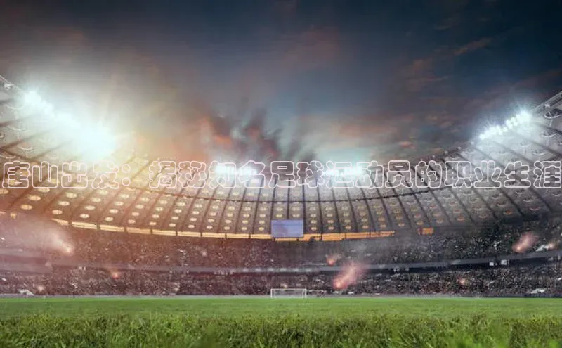 米兰·全站app登录app百度取证唐山出发：揭秘知名足球运动员的职业生涯