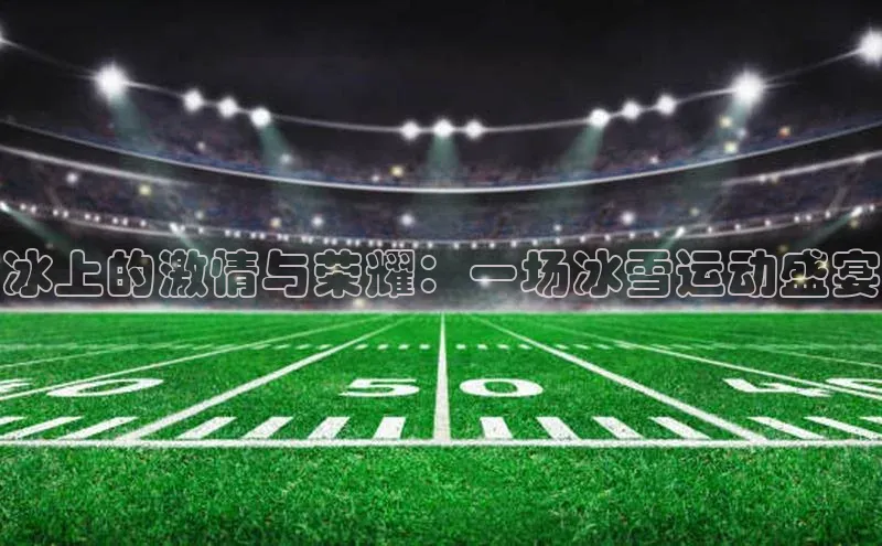 冰上的激情与荣耀：一场冰雪运动盛宴