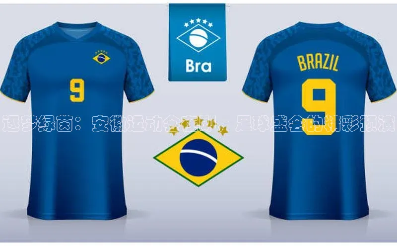 逐梦绿茵：安徽运动会在即，足球盛会的精彩预演