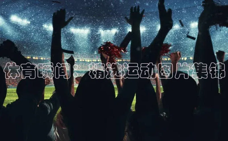 体育瞬间：精选运动图片集锦