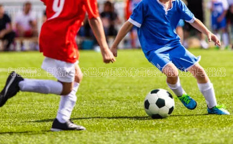 与激情：剖析20大世界顶级体育赛事的魅力与挑战