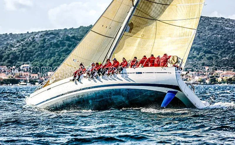 热血沸腾的激情：我的最爱——足球赛事