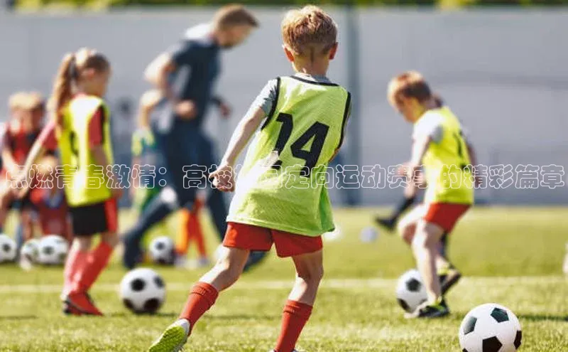 点燃青春激情：高校校园定向运动赛事的精彩篇章