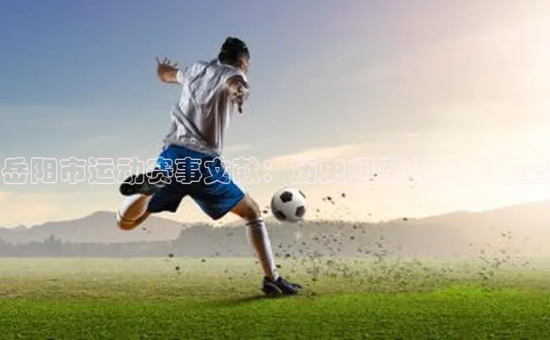 岳阳市运动赛事文献：历史回顾与未来展望