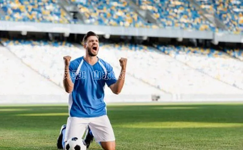 齐鲁冰雪竞技风采：山东冰雪运动赛事成绩概览与分析