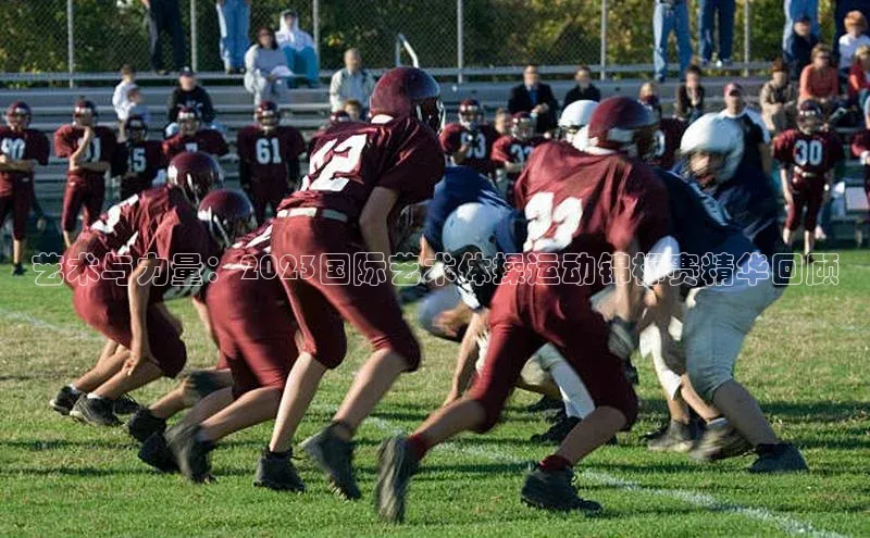 艺术与力量：2023国际艺术体操运动锦标赛精华回顾