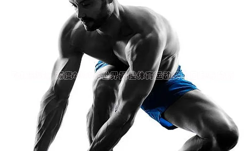 飞跃巅峰：深度2023年世界最佳体育运动赛事回顾与分析