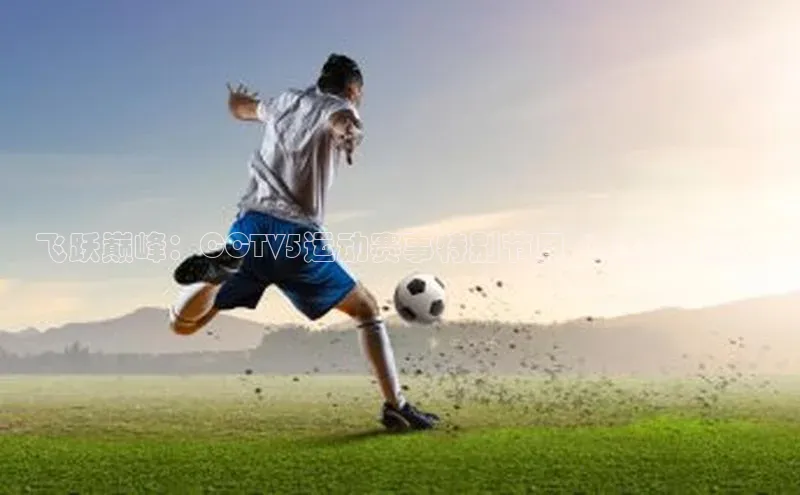 飞跃巅峰：CCTV5运动赛事特别节目《超越极限》