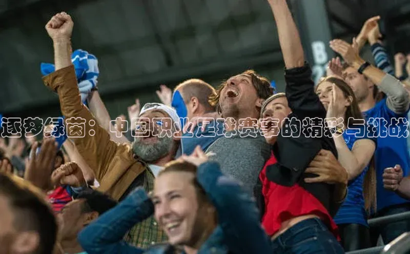 逐梦绿茵：中国职业足球赛事的精彩与挑战