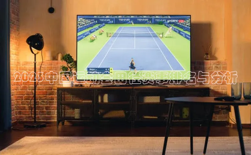 2023中国运动会田径赛事排名与分析